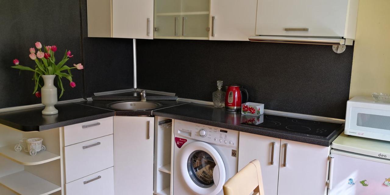 Vieno Kambario Butas Su Balkonu Apartamento Kaunas Exterior foto